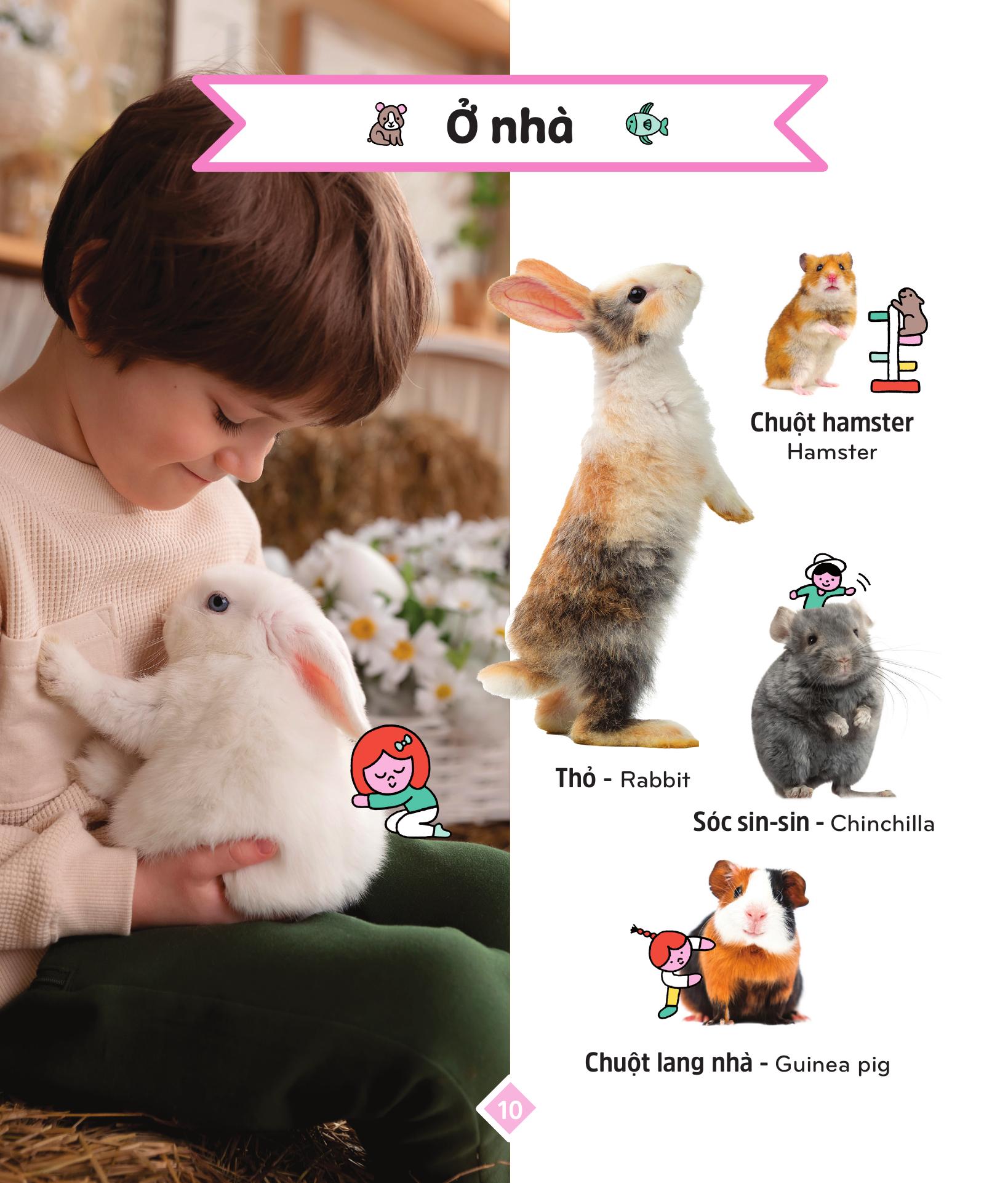 400++ Từ Vựng Mẹ Cùng Con Học Nói - Các Loài Động Vật - Ảnh 12