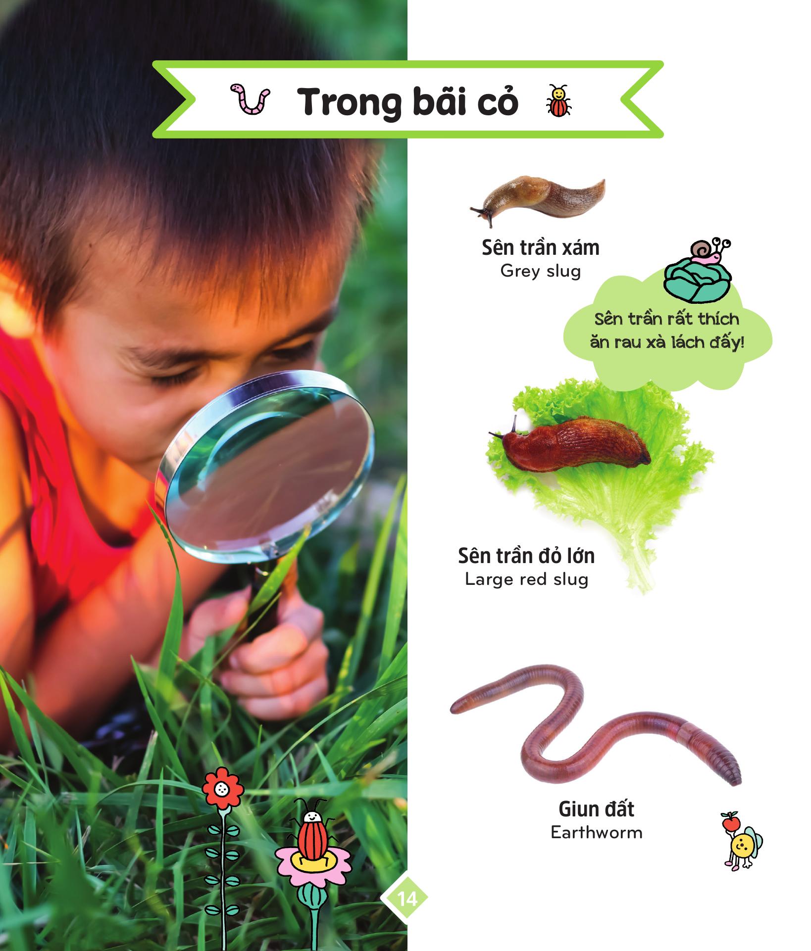 400++ Từ Vựng Mẹ Cùng Con Học Nói - Các Loài Động Vật - Ảnh 16