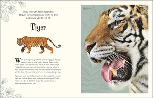 an anthology of intriguing animals - Ảnh 4