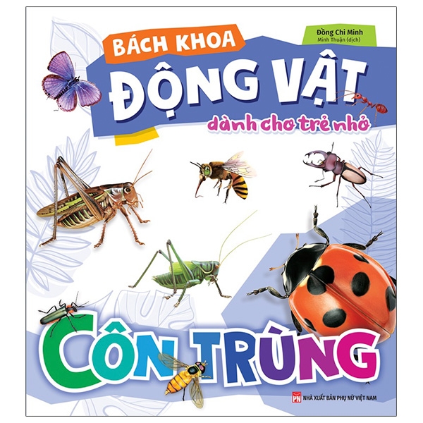 Bách Khoa Động Vật Dành Cho Trẻ Nhỏ - Côn Trùng (Tái Bản 2025)