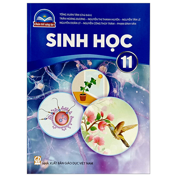 Bai Tap Vat Li 11 (Chan Troi) (Chuan) - Ảnh 8
