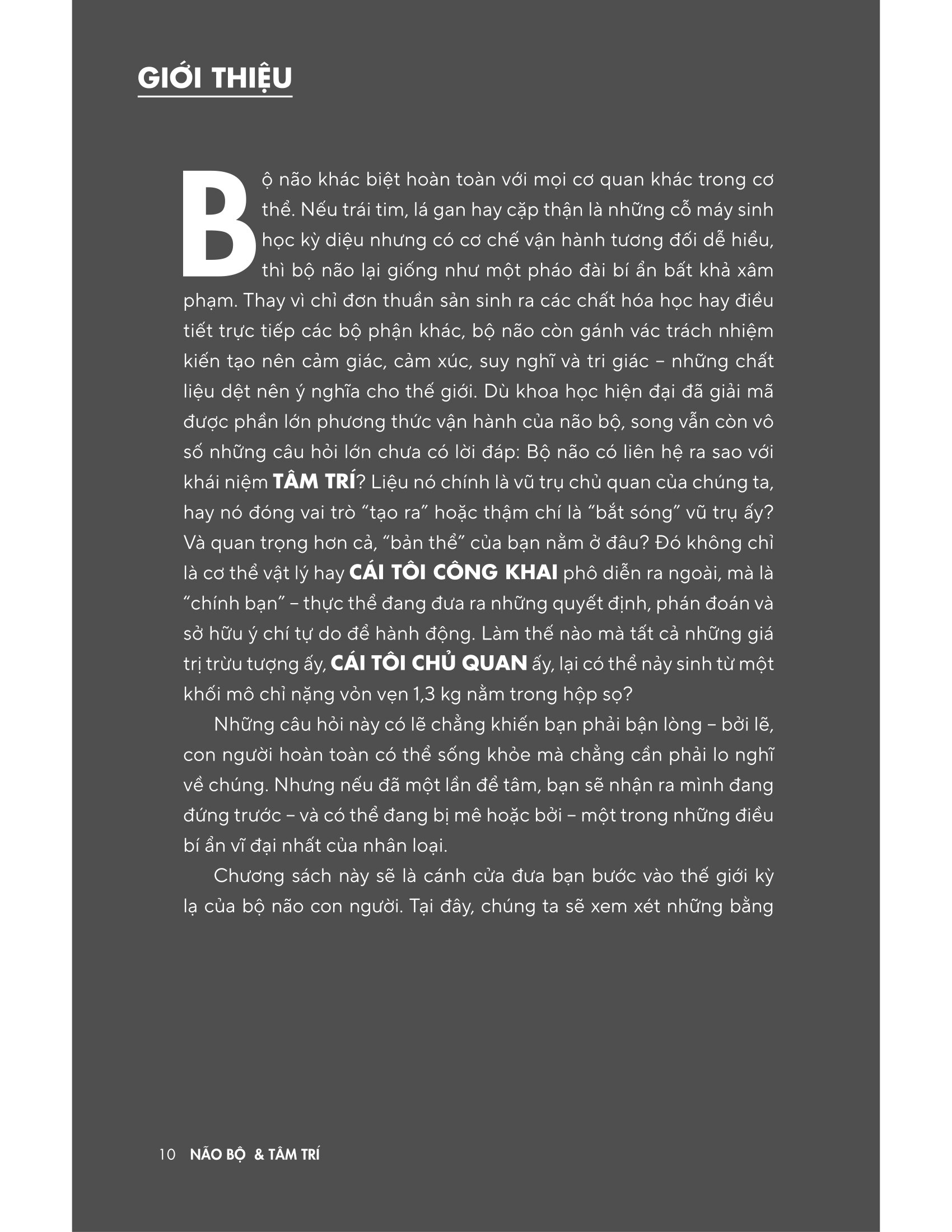 Bản Đồ Não Bộ - Từ Tế Bào Thần Kinh Đến Những Ý Tưởng Lớn - Ảnh 13