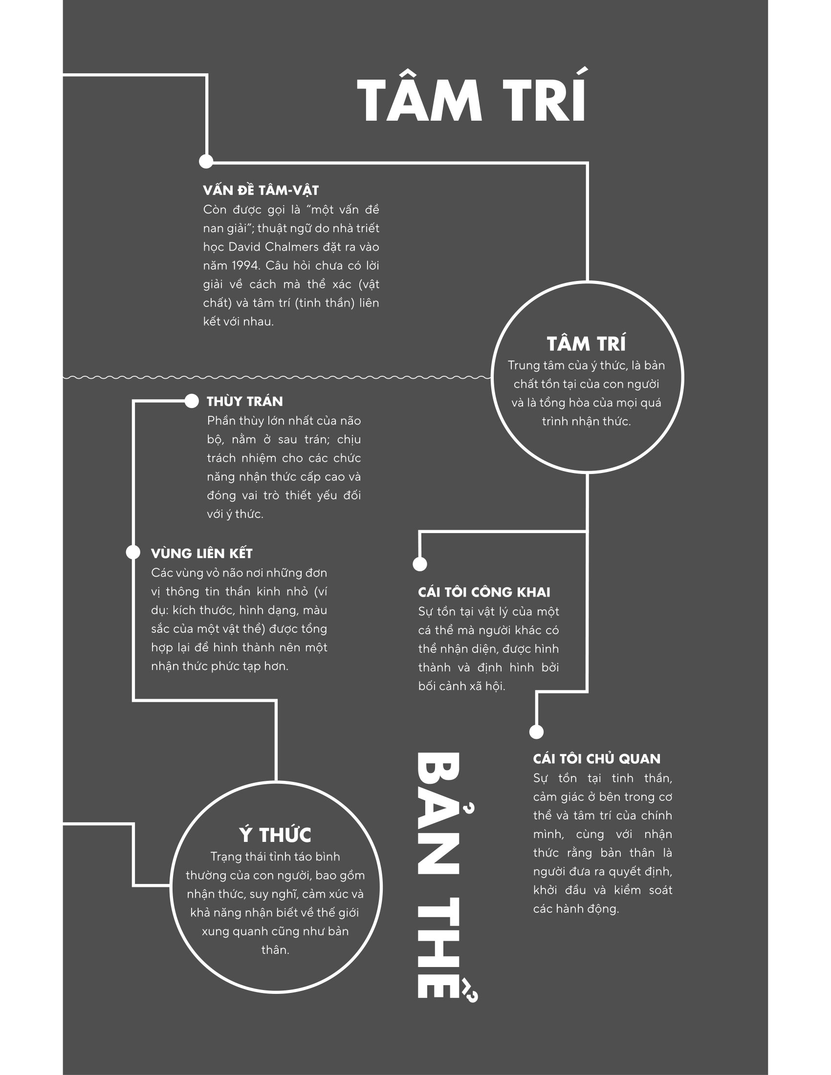 Bản Đồ Não Bộ - Từ Tế Bào Thần Kinh Đến Những Ý Tưởng Lớn - Ảnh 16