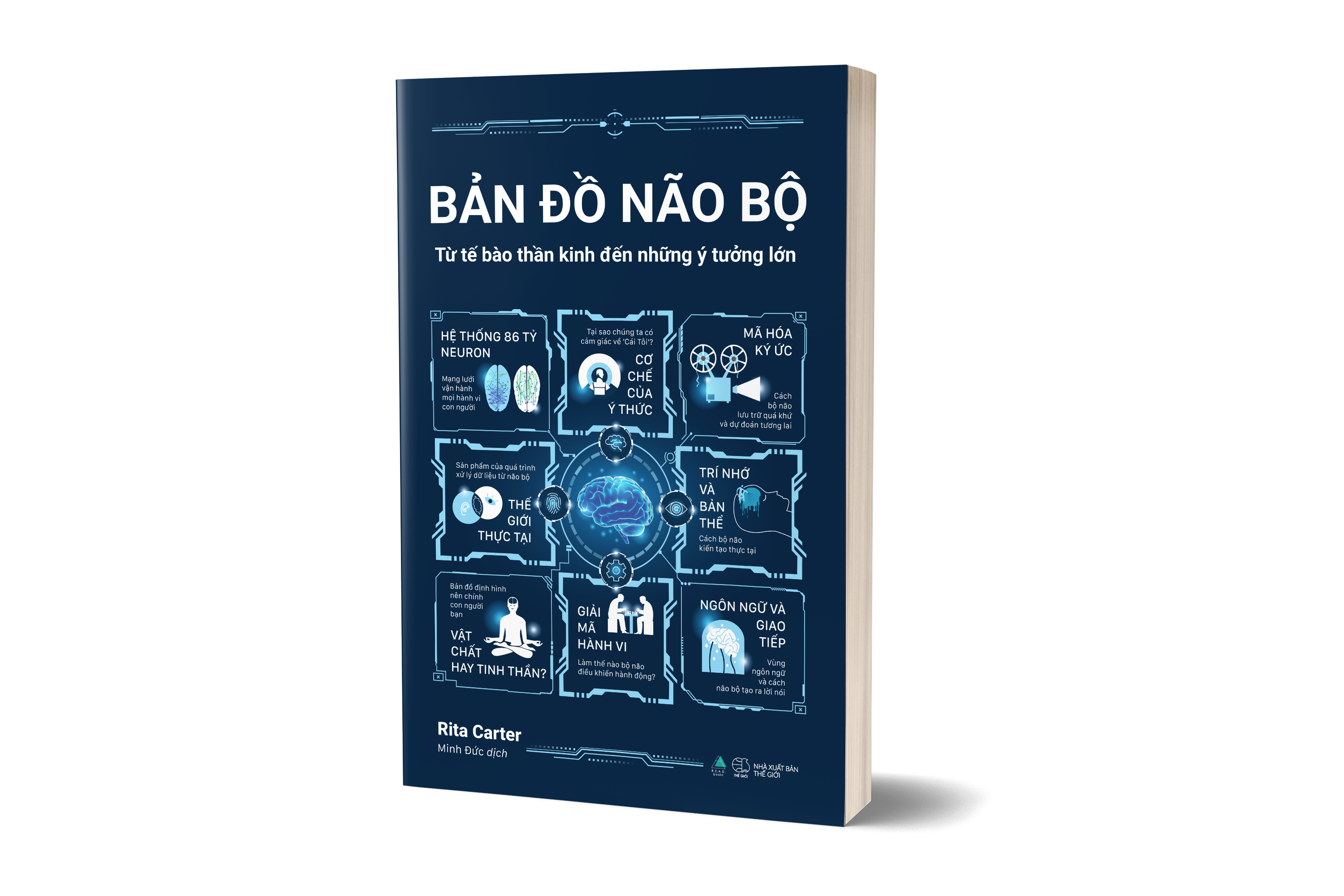 Bản Đồ Não Bộ - Từ Tế Bào Thần Kinh Đến Những Ý Tưởng Lớn - Ảnh 4