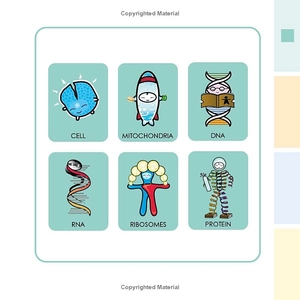 basher science - biology - Ảnh 15
