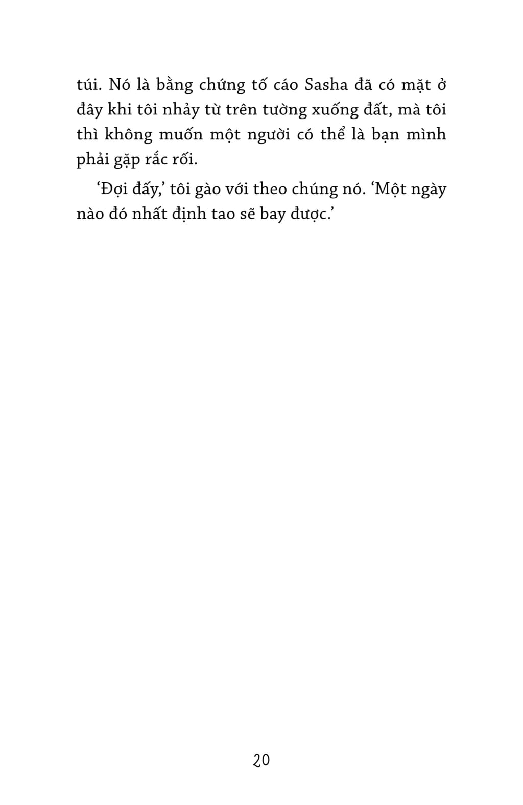 bay bằng đôi cánh gãy - how to fly with broken wings - Ảnh 12