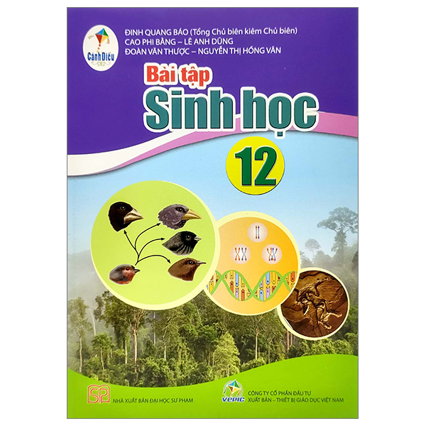 Bộ Bài Tập Ngữ Văn 12 - Tập 2 (Cánh Diều) (Chuẩn) - Ảnh 17