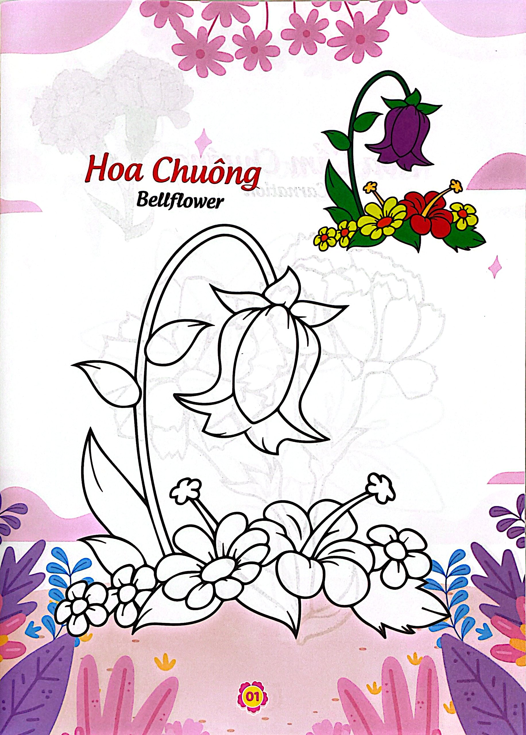 Bộ Bé Thỏa Sức Sáng Tạo Phát Triển IQ-EQ-CQ - Bé Tô Màu Và Học Tiếng Anh Theo Chủ Đề - Các Loài Hoa - Ảnh 3