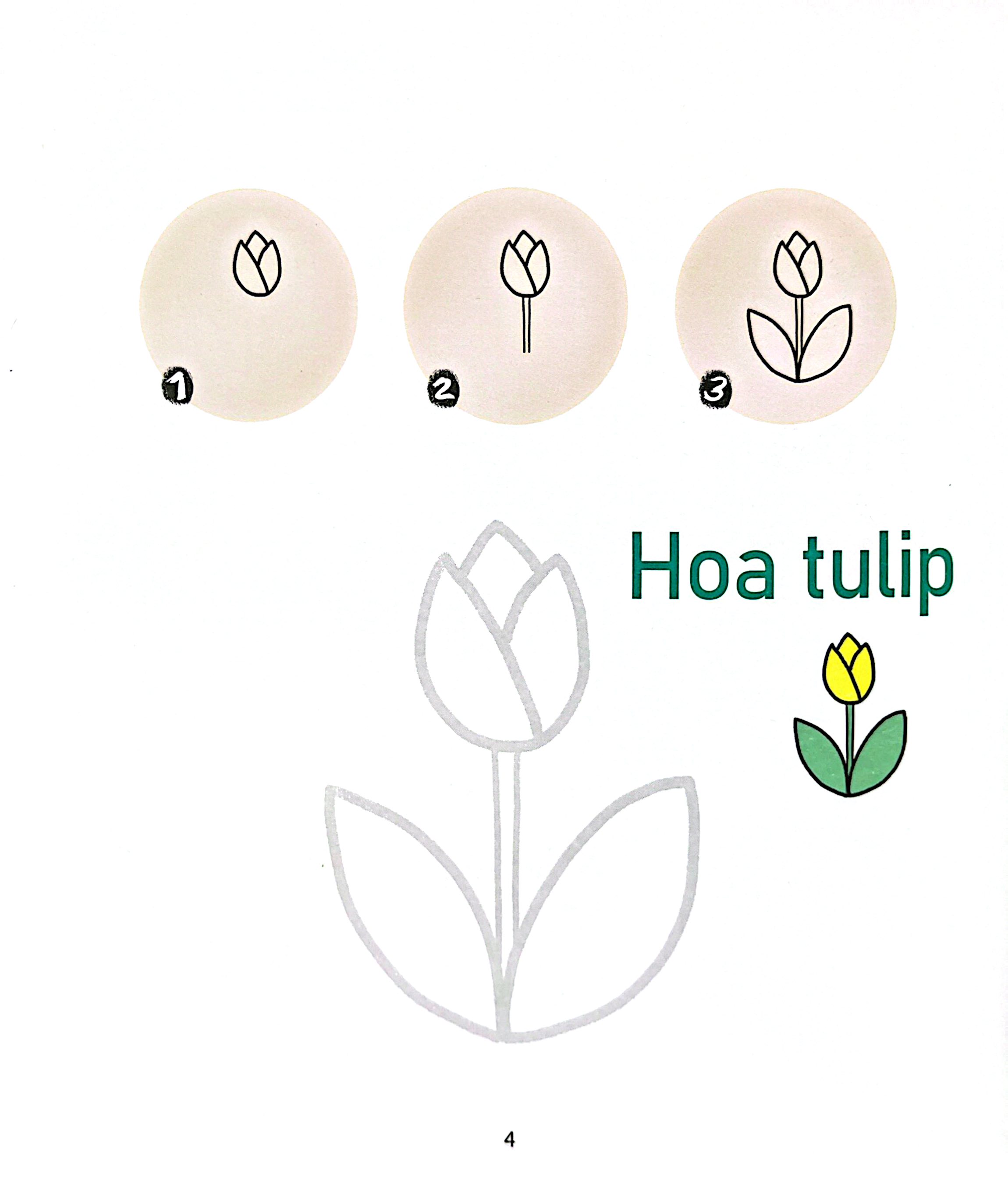 Bộ Bé Vẽ Cả Thế Giới - Thực Vật - Ảnh 4