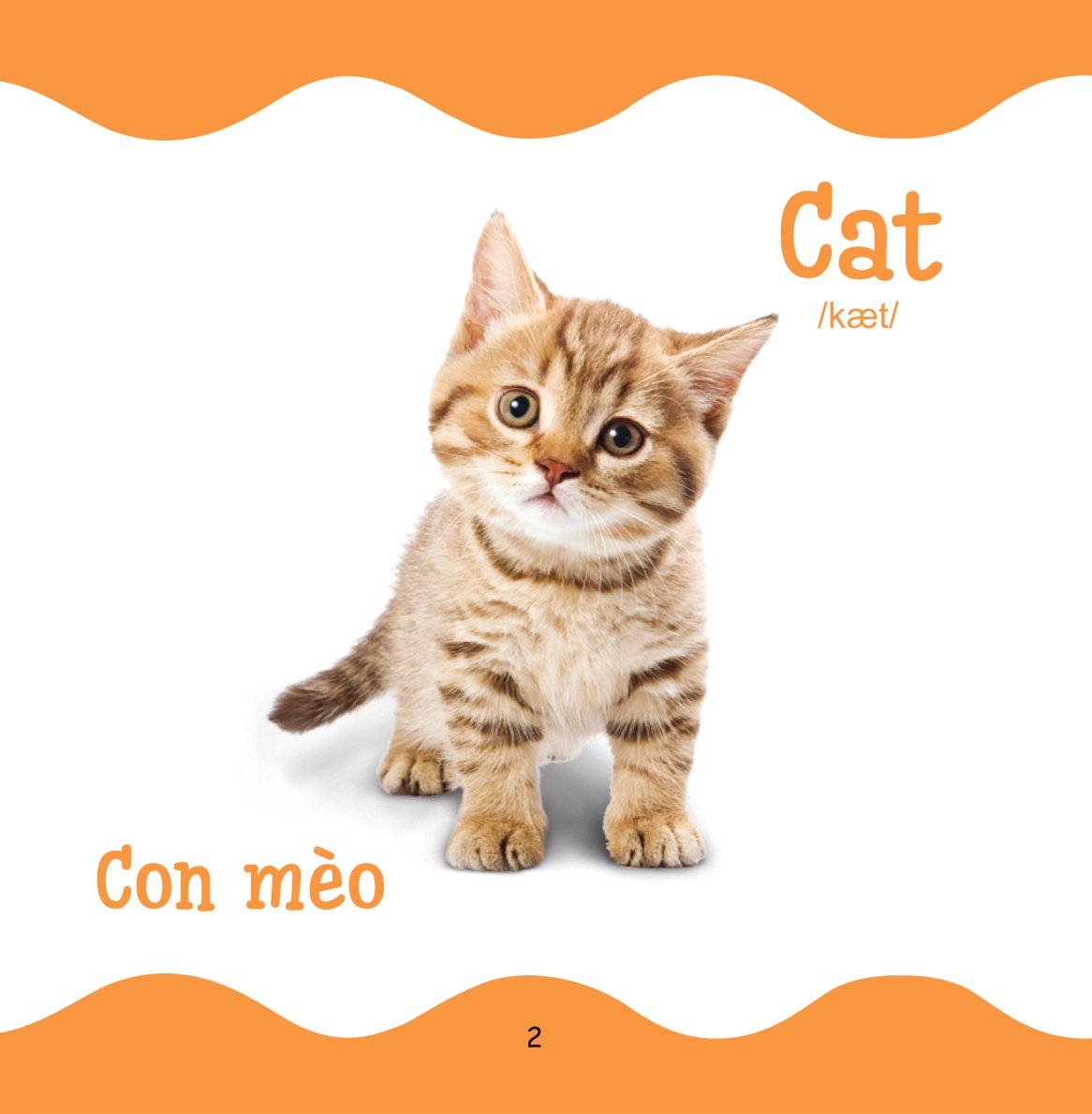 Bộ Cùng Con Trưởng Thành - Từ Điển Bằng Hình Cho Trẻ Mầm Non - Động Vật Nuôi - Ảnh 3