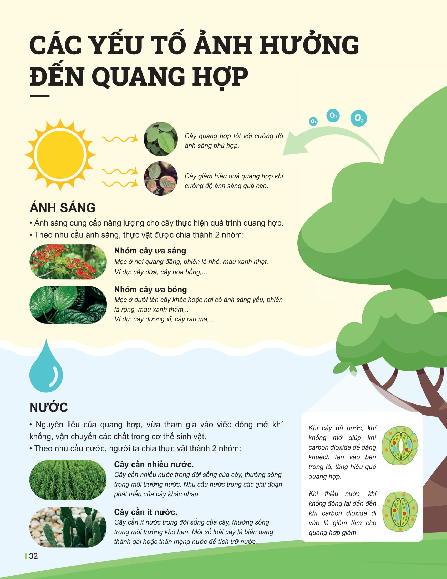 Bộ Đột Phá Tư Duy Khoa Học Tự Nhiên 7 - Tập 2 - Ảnh 10