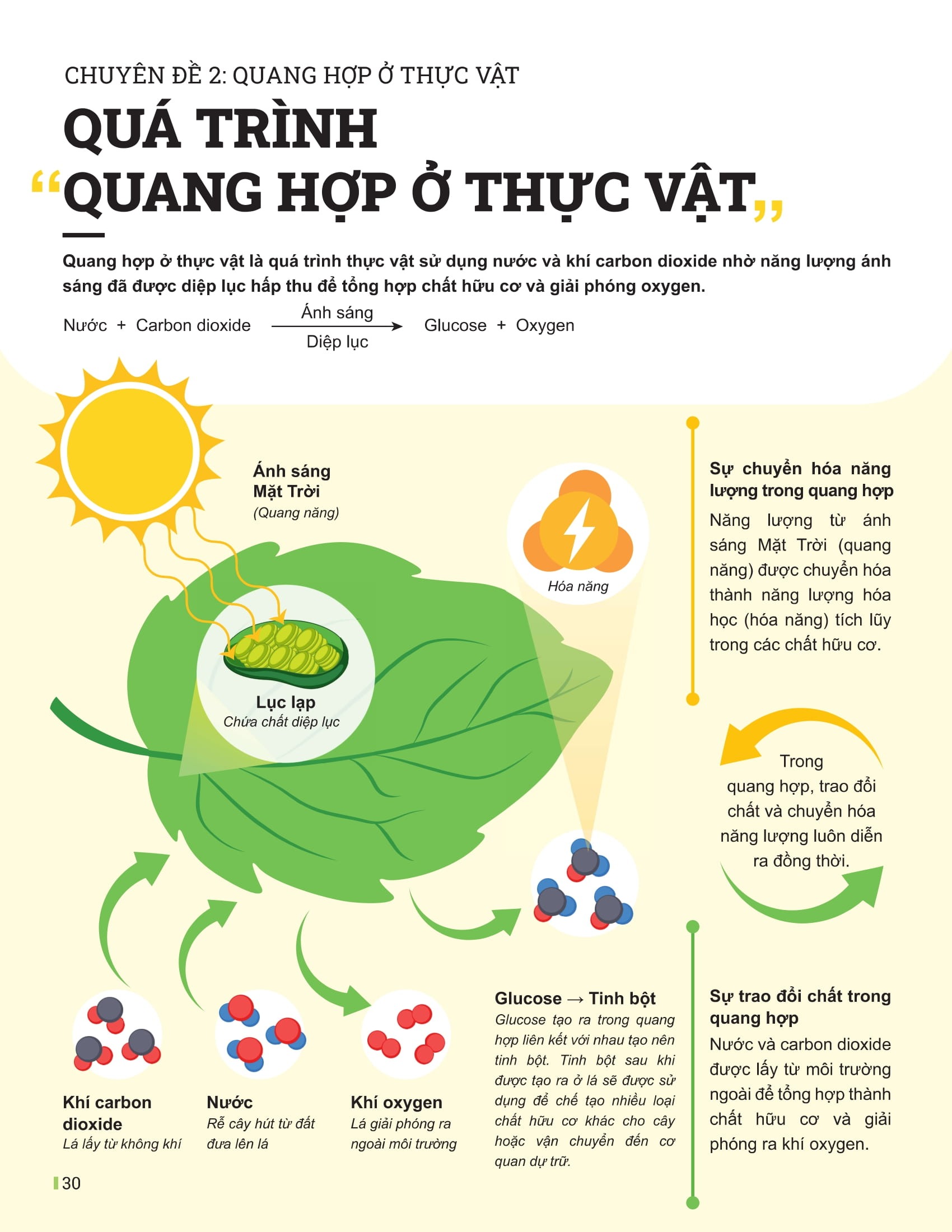 Bộ Đột Phá Tư Duy Khoa Học Tự Nhiên 7 - Tập 2 (Tái Bản 2025) - Ảnh 8