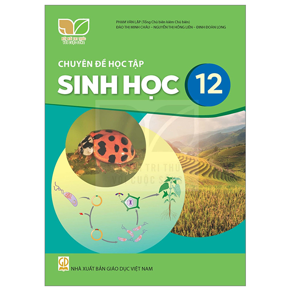 Bộ Giáo Dục Thể Chất 12 - Bóng Đá (Kết Nối) (Chuẩn) - Ảnh 13
