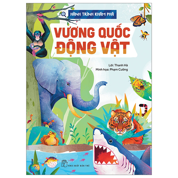 Bộ Hành Trình Khám Phá - Gió - Ảnh 7
