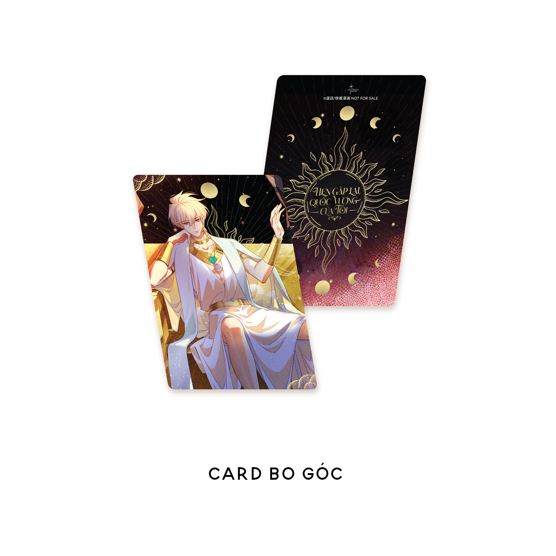 Bộ Hẹn Gặp Lại, Quốc Vương Của Tôi - Tập 8 - Tặng Kèm Card Bo Góc - Ảnh 4