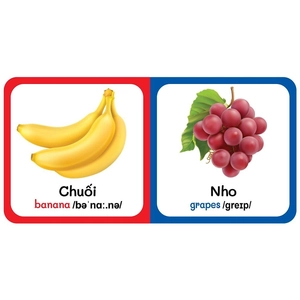 bộ hộp baby's first picture dictionary - từ điển bằng hình đầu tiên của bé - dành cho bé từ 0-6 tuổi - hộp vàng (trọn bộ 9 cuốn) - 2022 - Ảnh 10