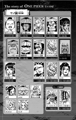 bộ one piece 102 - Ảnh 13