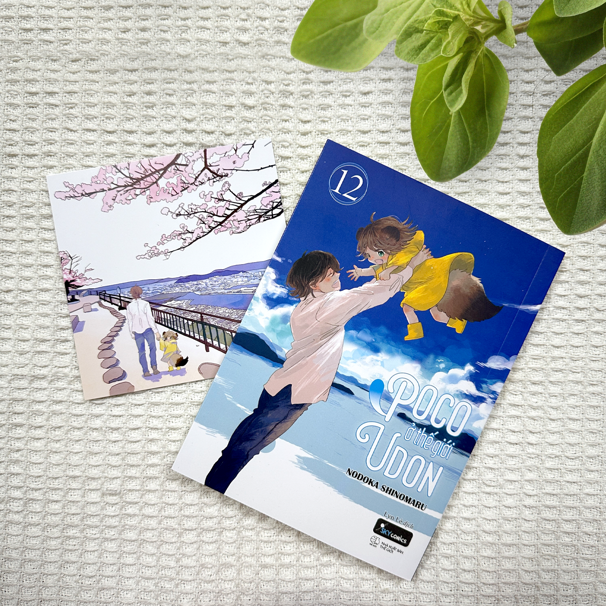 Bộ Poco Ở Thế Giới Udon - Tập 12 - Tặng Kèm Postcard Hai Mặt - Ảnh 4
