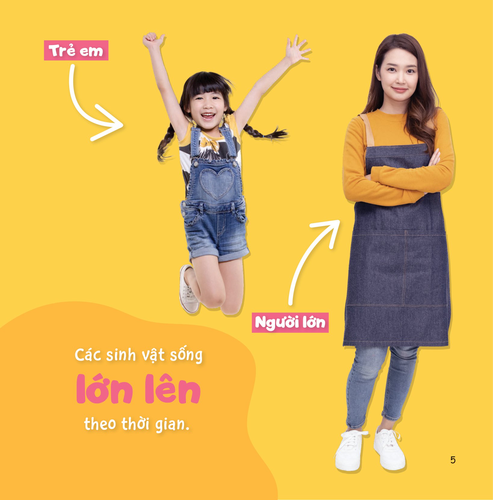 Bộ Sự Sinh Trưởng Kỳ Diệu Của Vạn Vật - Vòng Đời Của Cây - Ảnh 4