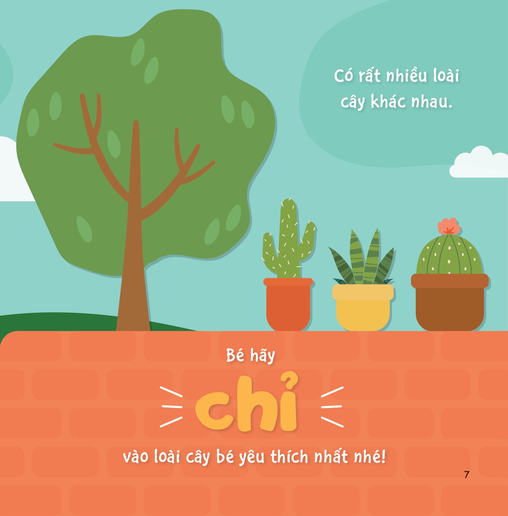 Bộ Sự Sinh Trưởng Kỳ Diệu Của Vạn Vật - Vòng Đời Của Cây - Ảnh 6