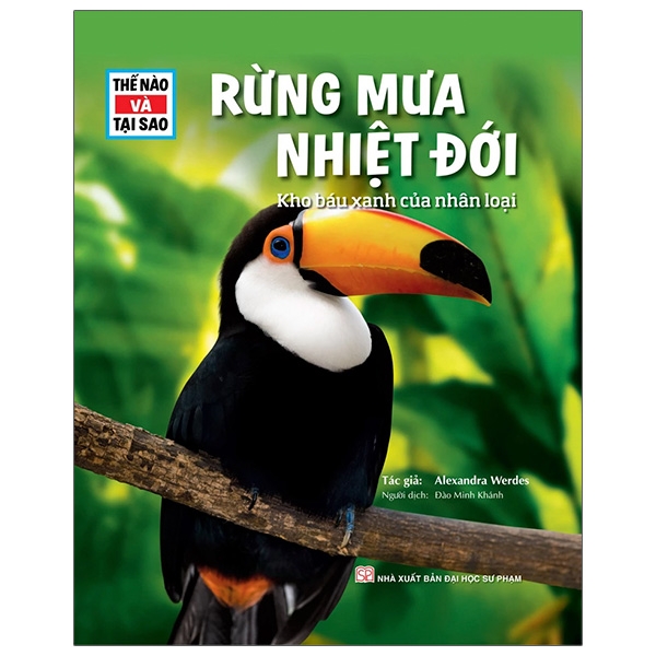 Bộ Thế Nào Và Tại Sao - Khủng Long - Trong Đế Chế Của Các Loài Bò Sát - Bìa Cứng (Tái Bản 2026) - Ảnh 14
