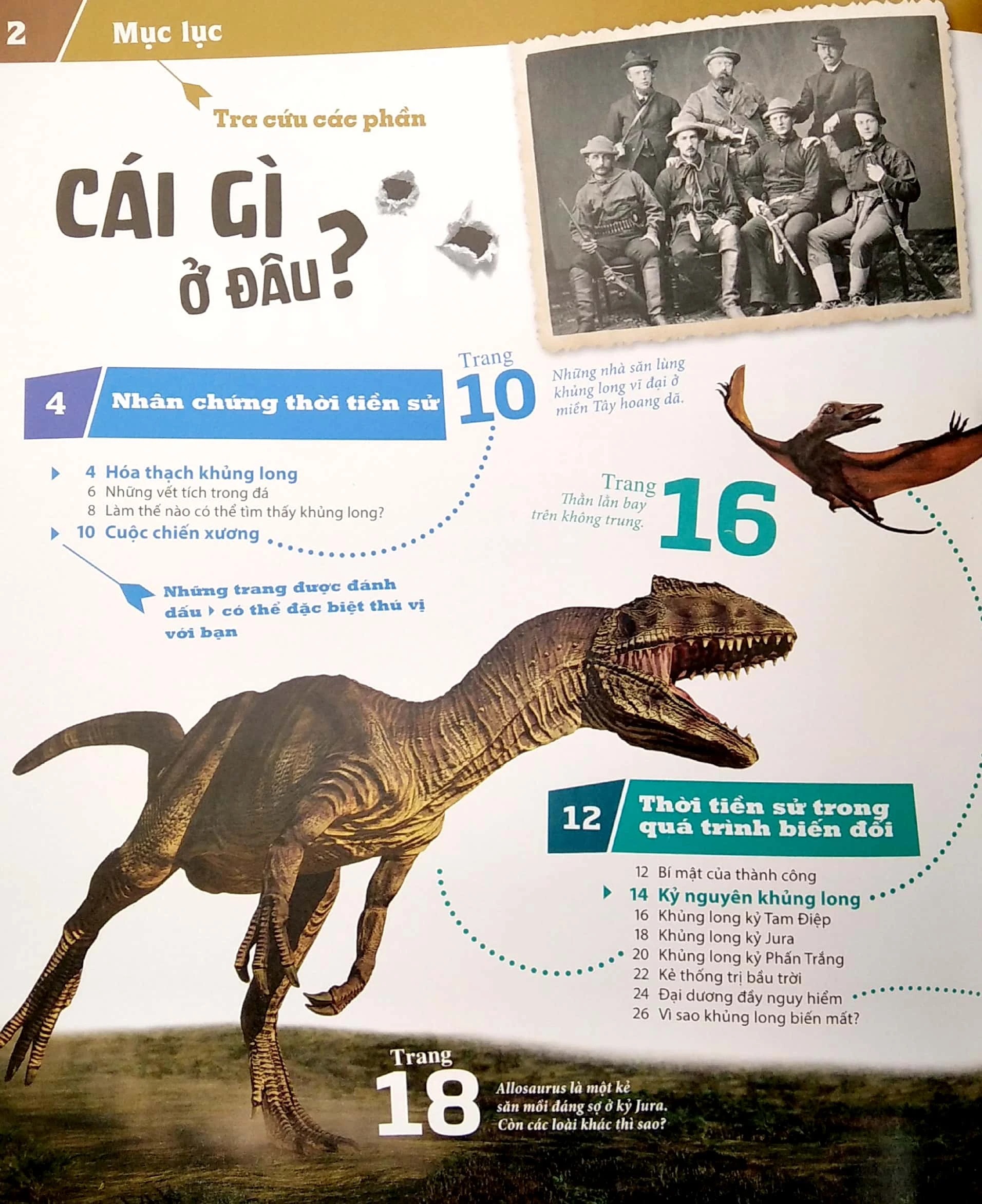 Bộ Thế Nào Và Tại Sao - Khủng Long - Trong Đế Chế Của Các Loài Bò Sát - Bìa Cứng (Tái Bản 2026) - Ảnh 2