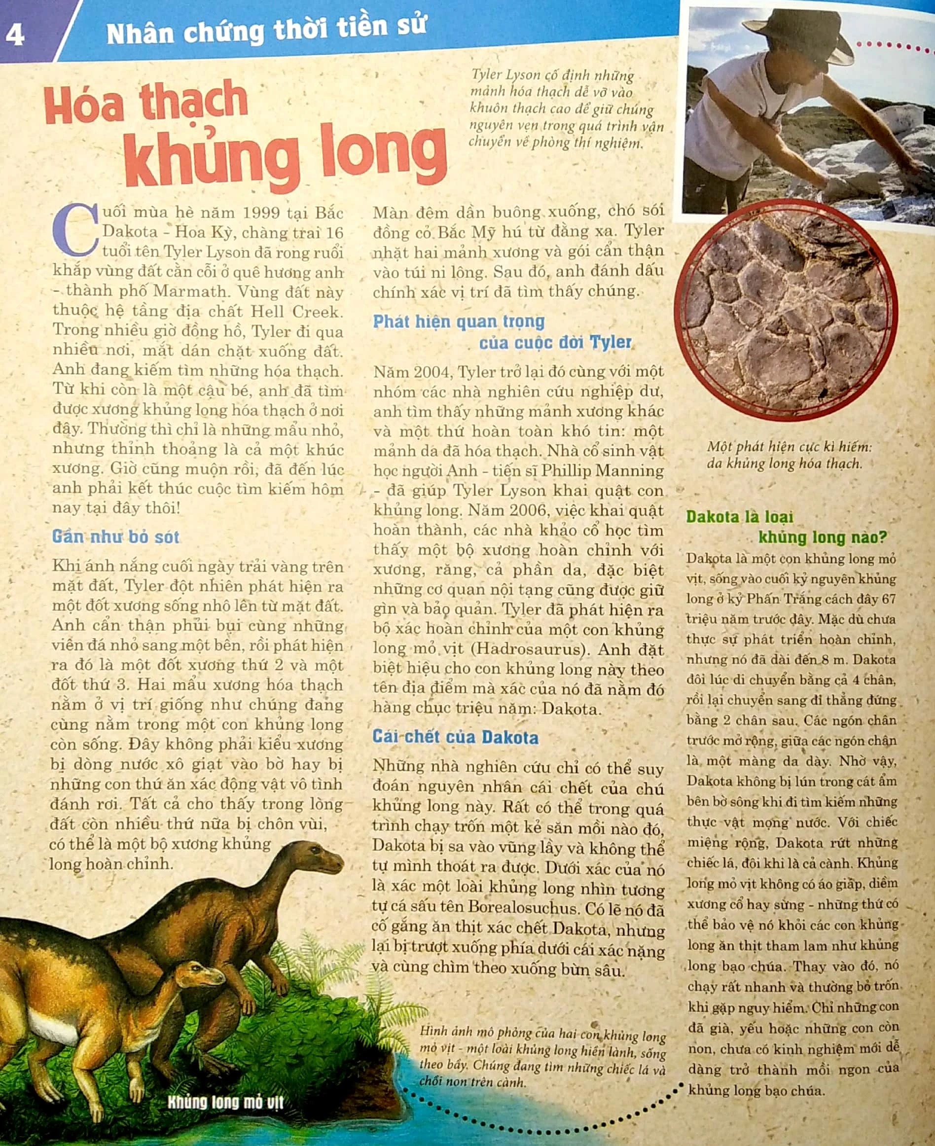 Bộ Thế Nào Và Tại Sao - Khủng Long - Trong Đế Chế Của Các Loài Bò Sát - Bìa Cứng (Tái Bản 2026) - Ảnh 3