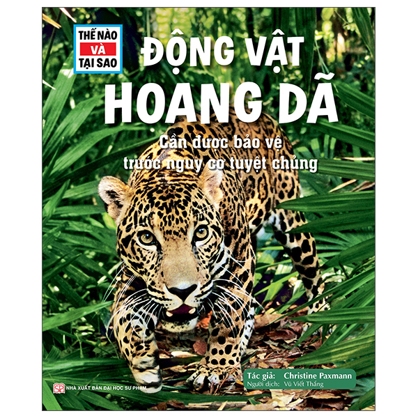 Bộ Thế Nào Và Tại Sao - Khủng Long - Trong Đế Chế Của Các Loài Bò Sát - Bìa Cứng (Tái Bản 2026) - Ảnh 9