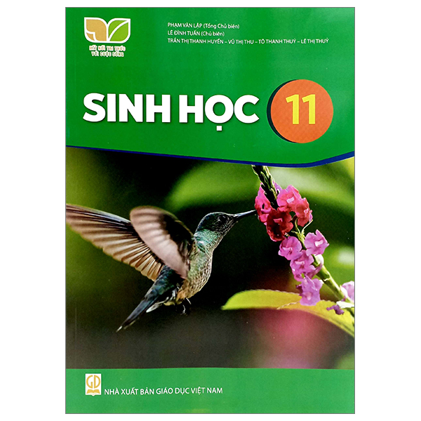 Bộ Tin Học 11 - Định Hướng Tin Học Ứng Dụng (Kết Nối Tri Thức) (Chuẩn) - Ảnh 51