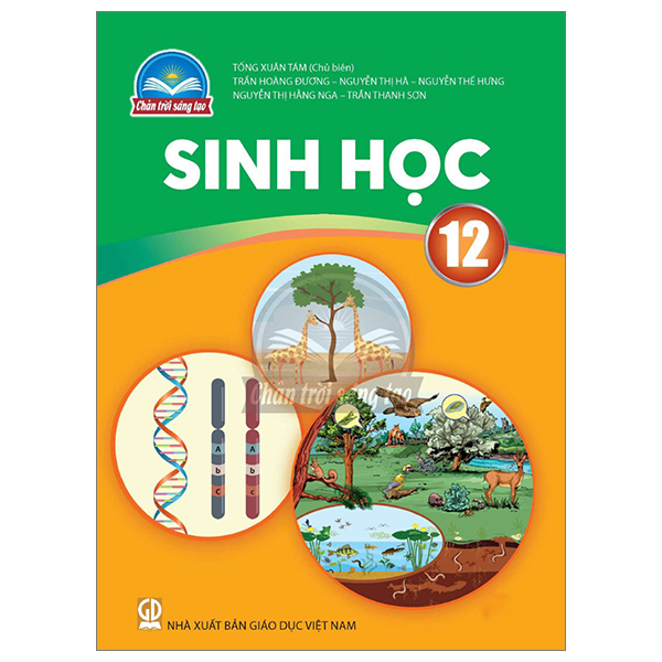 Bộ Toán 12 - Tập 1 (Chân Trời) (Chuẩn) - Ảnh 22