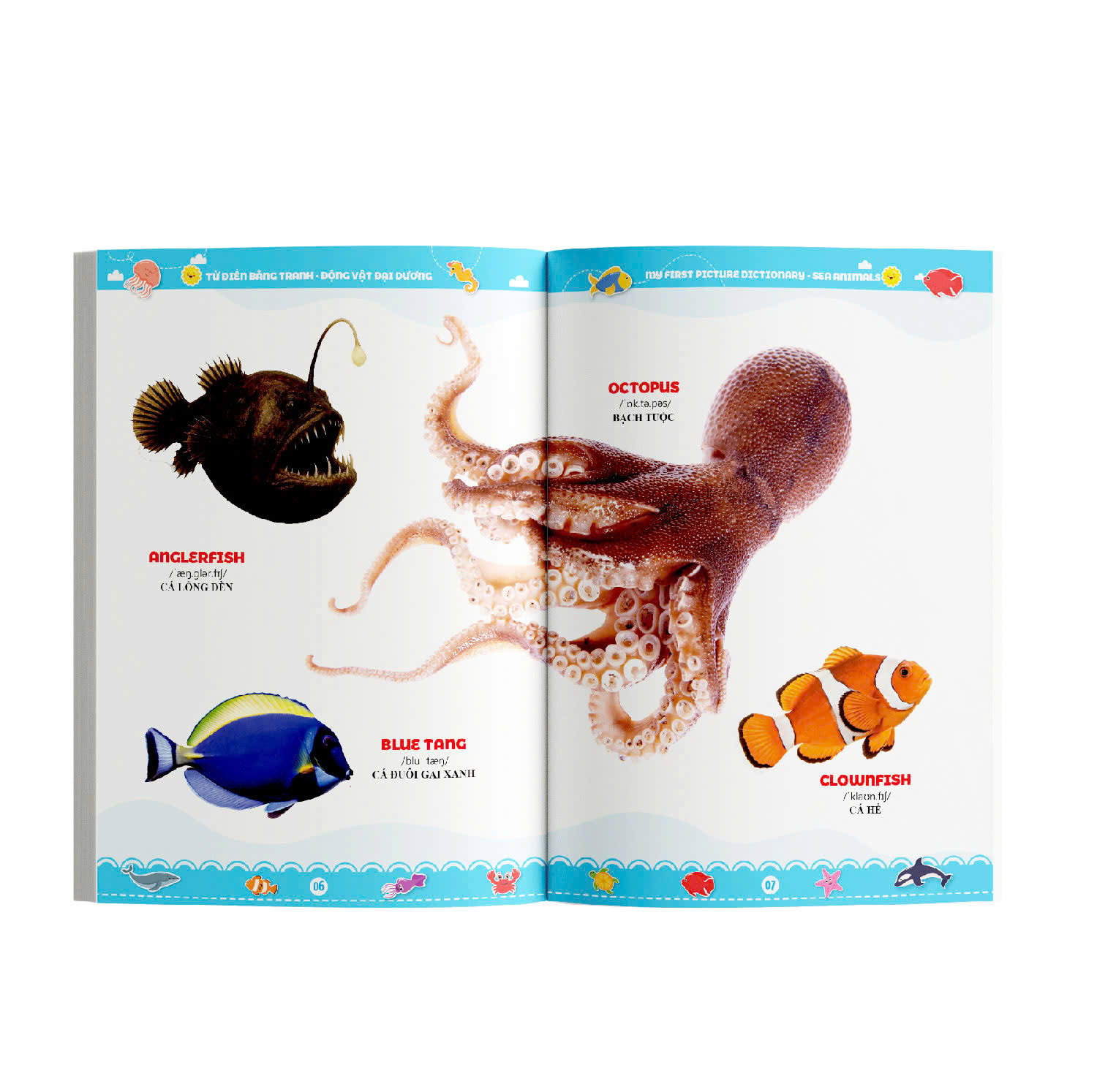 Bộ Từ Điển Bằng Tranh - Động Vật Đại Dương - Ảnh 5