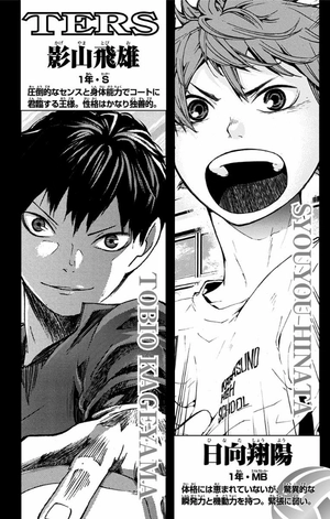 bộ ハイキュー!! 10 - haikyu!! 10 - Ảnh 4