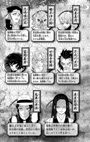 bộ 鬼滅の刃 16 - oni metsu no ha 16 - Ảnh 8