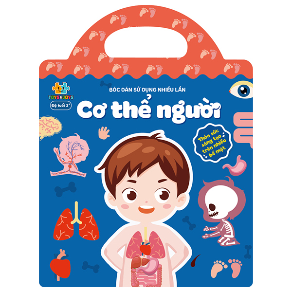 Bóc Dán Sử Dụng Nhiều Lần - Cơ Thể Người