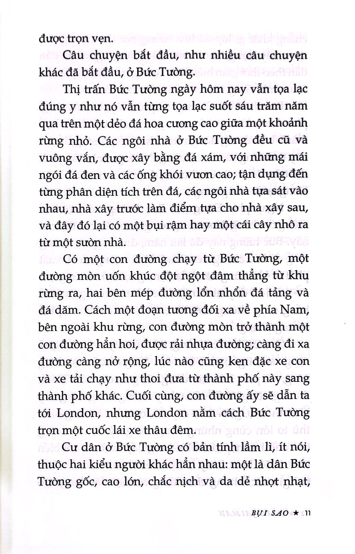 bụi sao - Ảnh 7