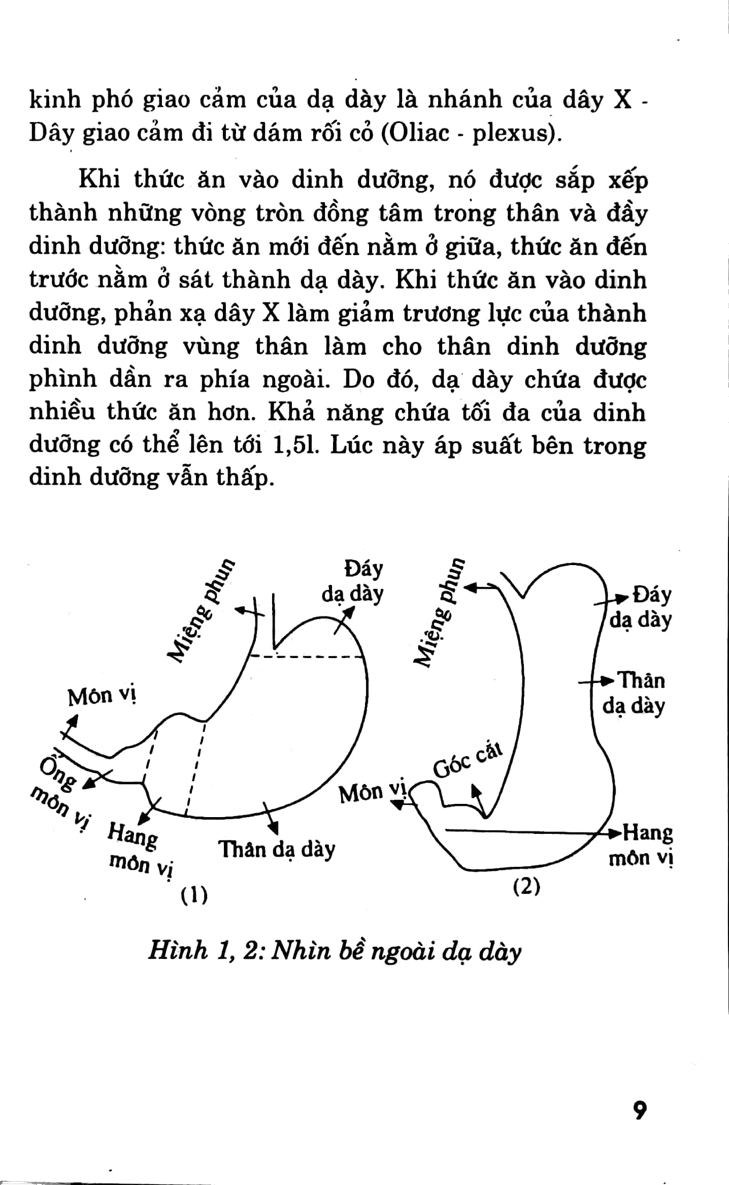 các phương pháp chữa trị - bệnh dạ dày - Ảnh 6