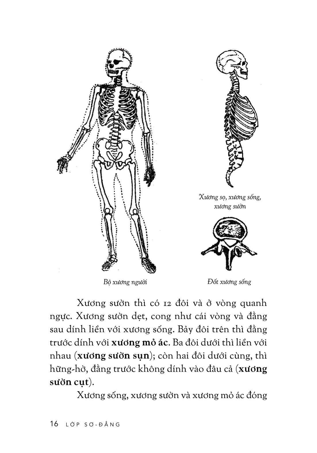 cách trí giáo khoa thư - Ảnh 12