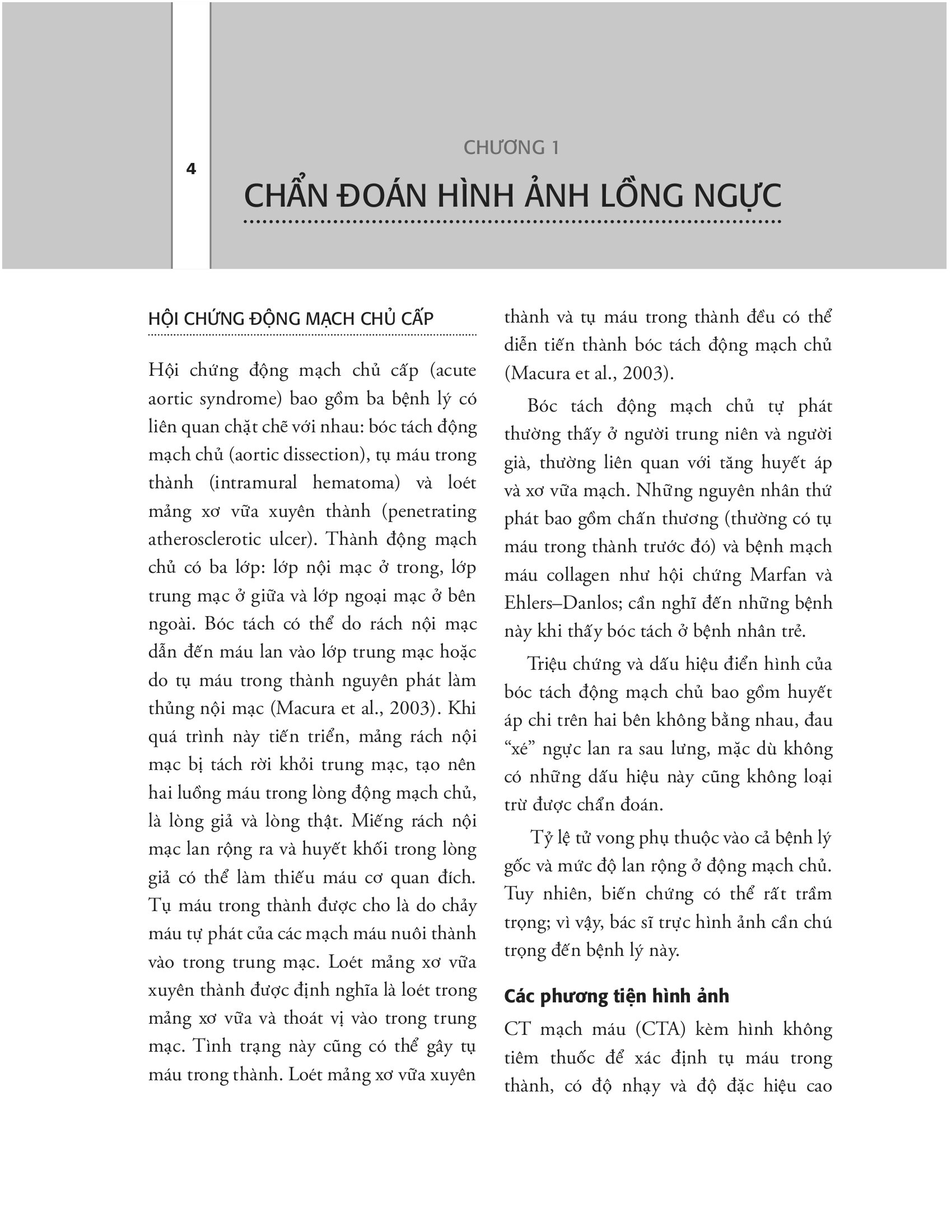 Cẩm Nang Trực Chẩn Đoán Hình Ảnh (Tái Bản 2026) - Ảnh 14