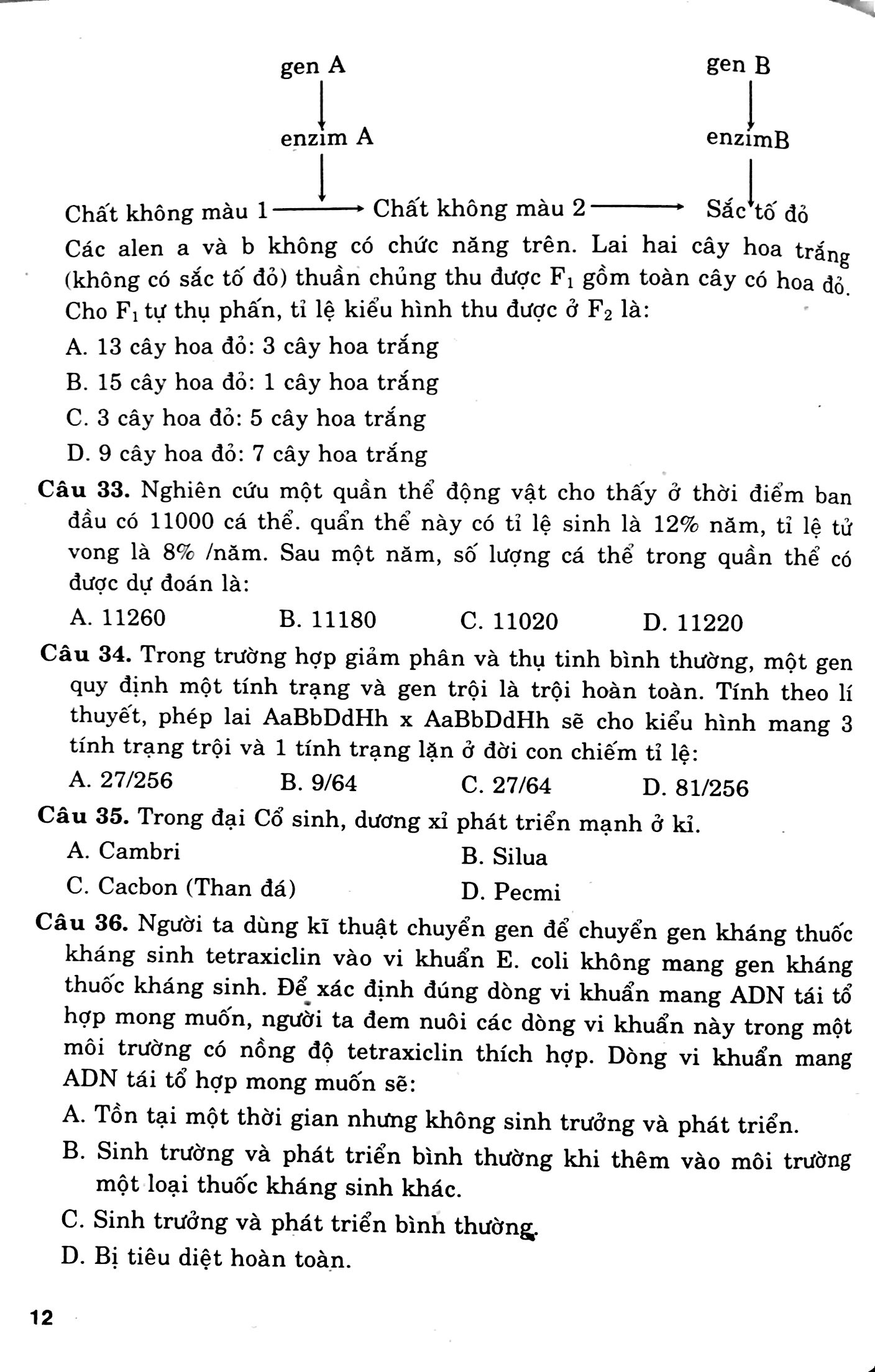 cấu trúc các dạng đttn sinh học 12 - Ảnh 9