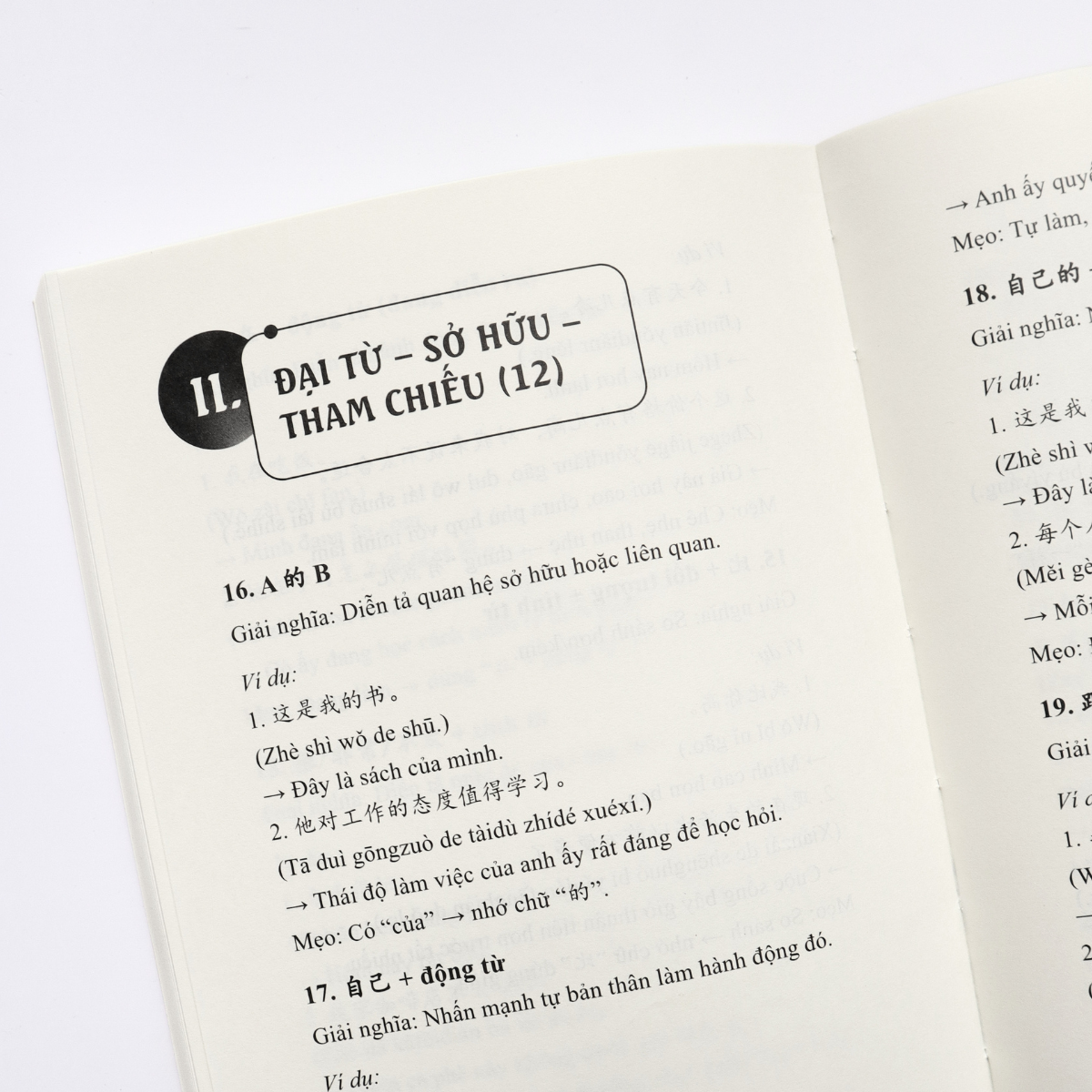 Chinh Phục Ngữ Pháp Và Từ Vựng Tiếng Trung - Ảnh 8