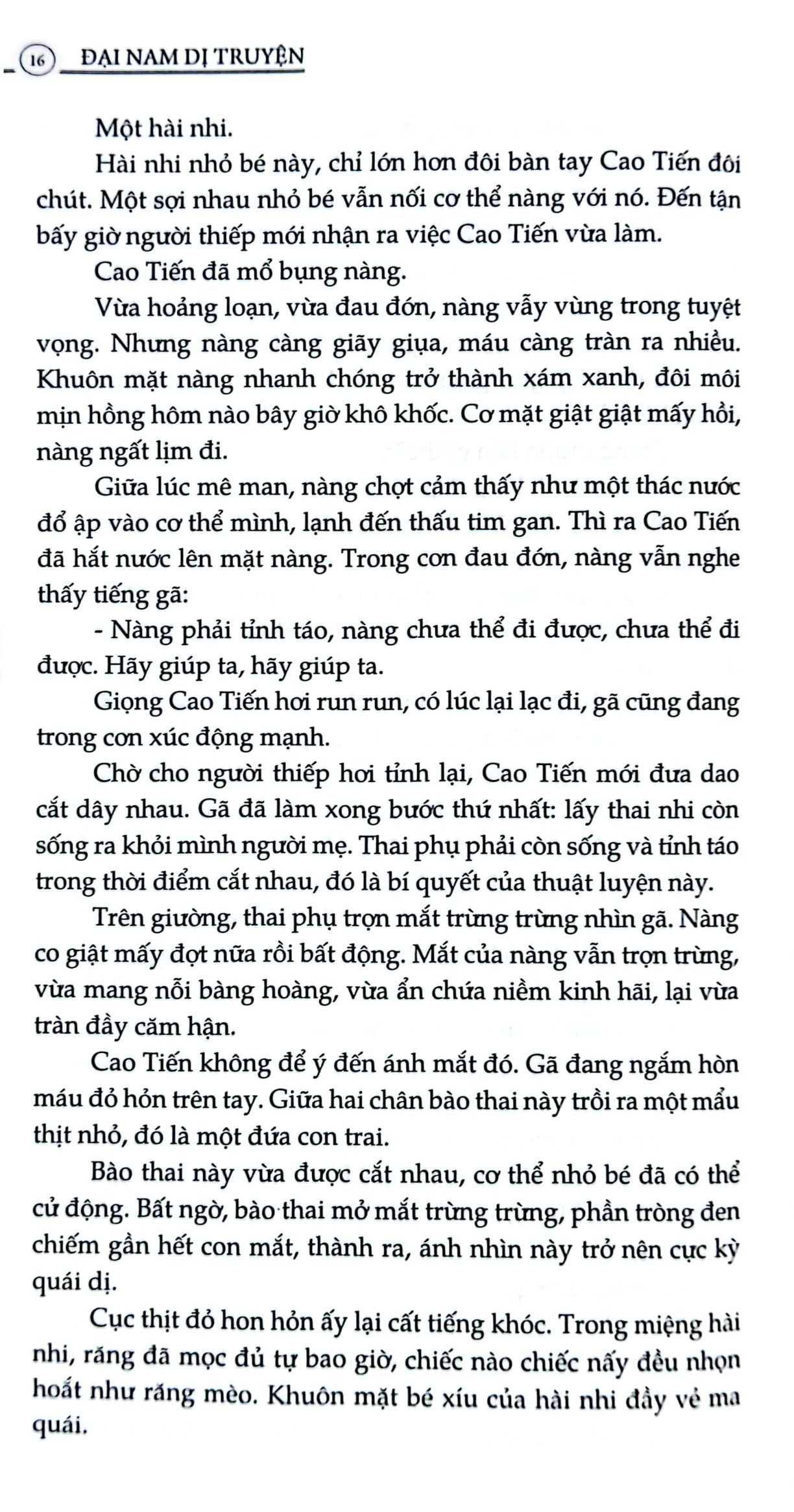 đại nam dị truyện - Ảnh 9