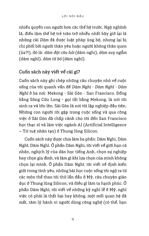 dám nghi, dám nghĩ, dám nghỉ - góc nhìn cuộc sống và việc làm từ mekong đến thung lũng silicon - Ảnh 10