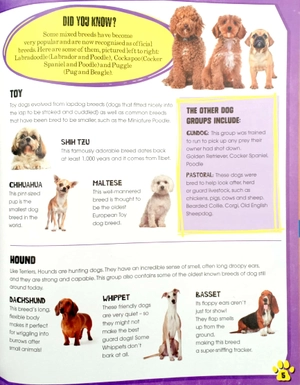 dogs (pet expert) - Ảnh 7