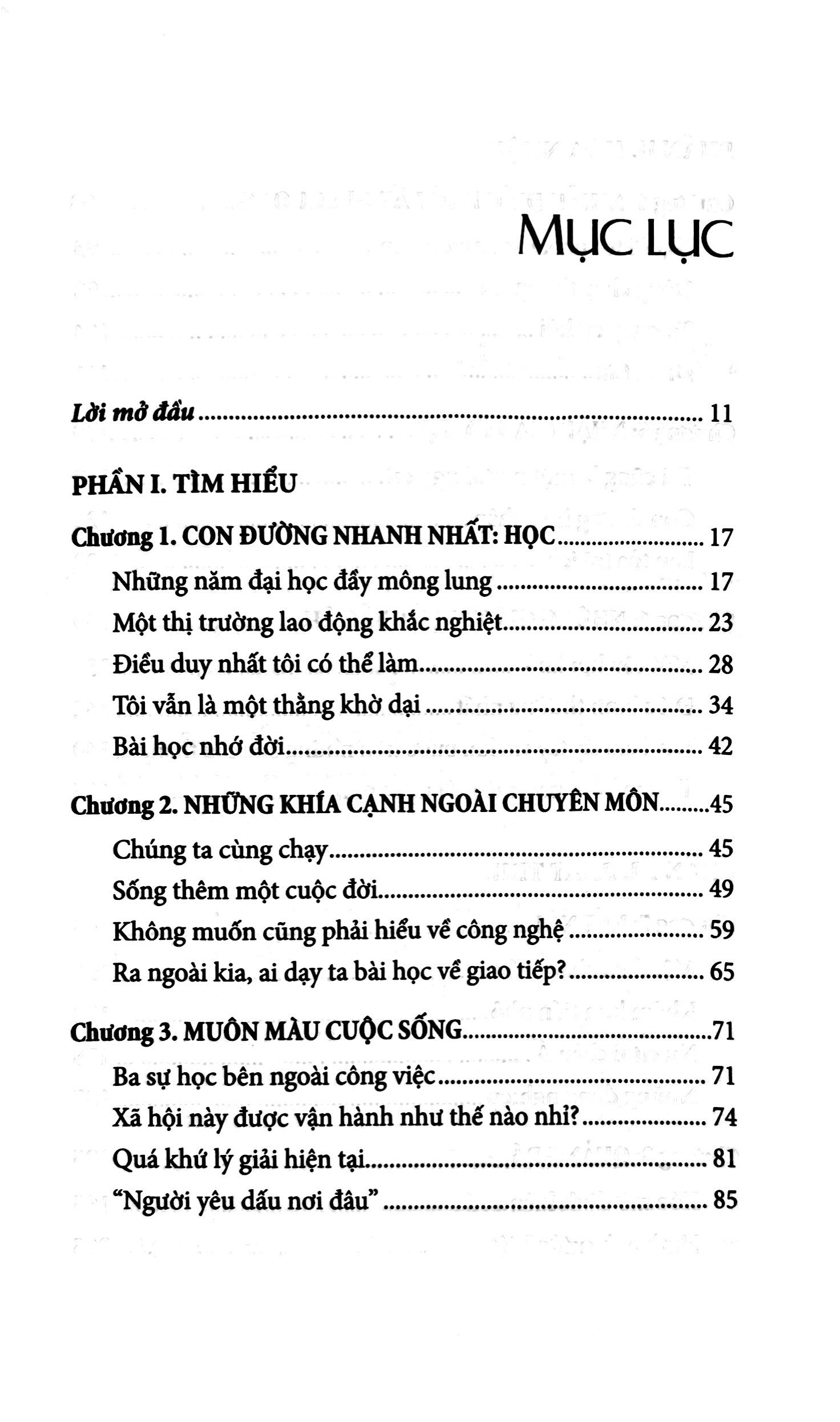 đường hòa nhập của một người việt - Ảnh 12