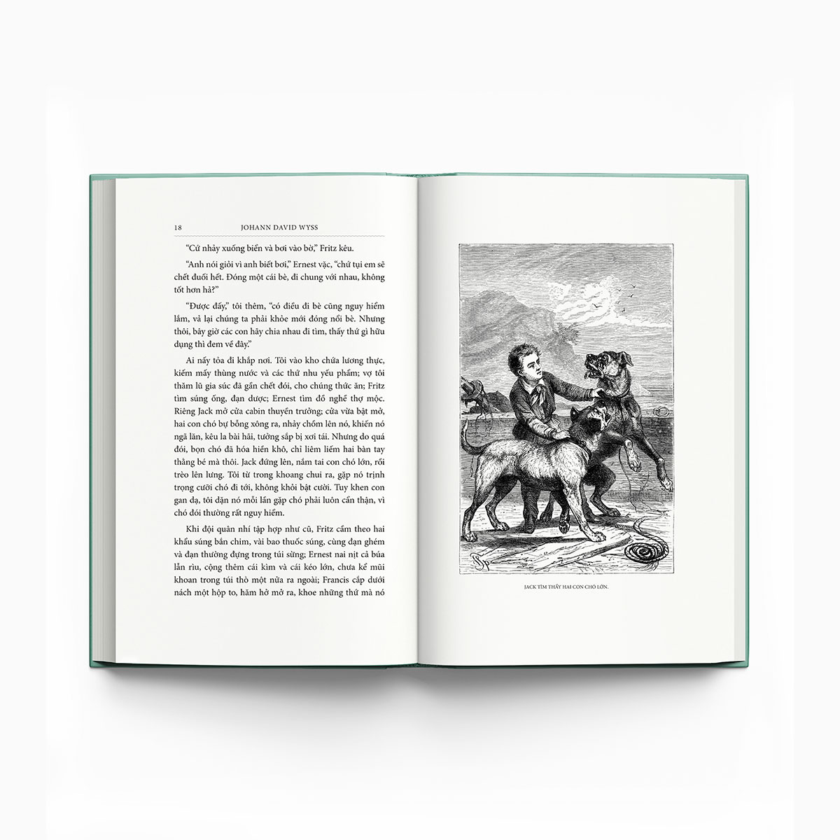 gia đình robinson thụy sỹ - bìa vải - Ảnh 3