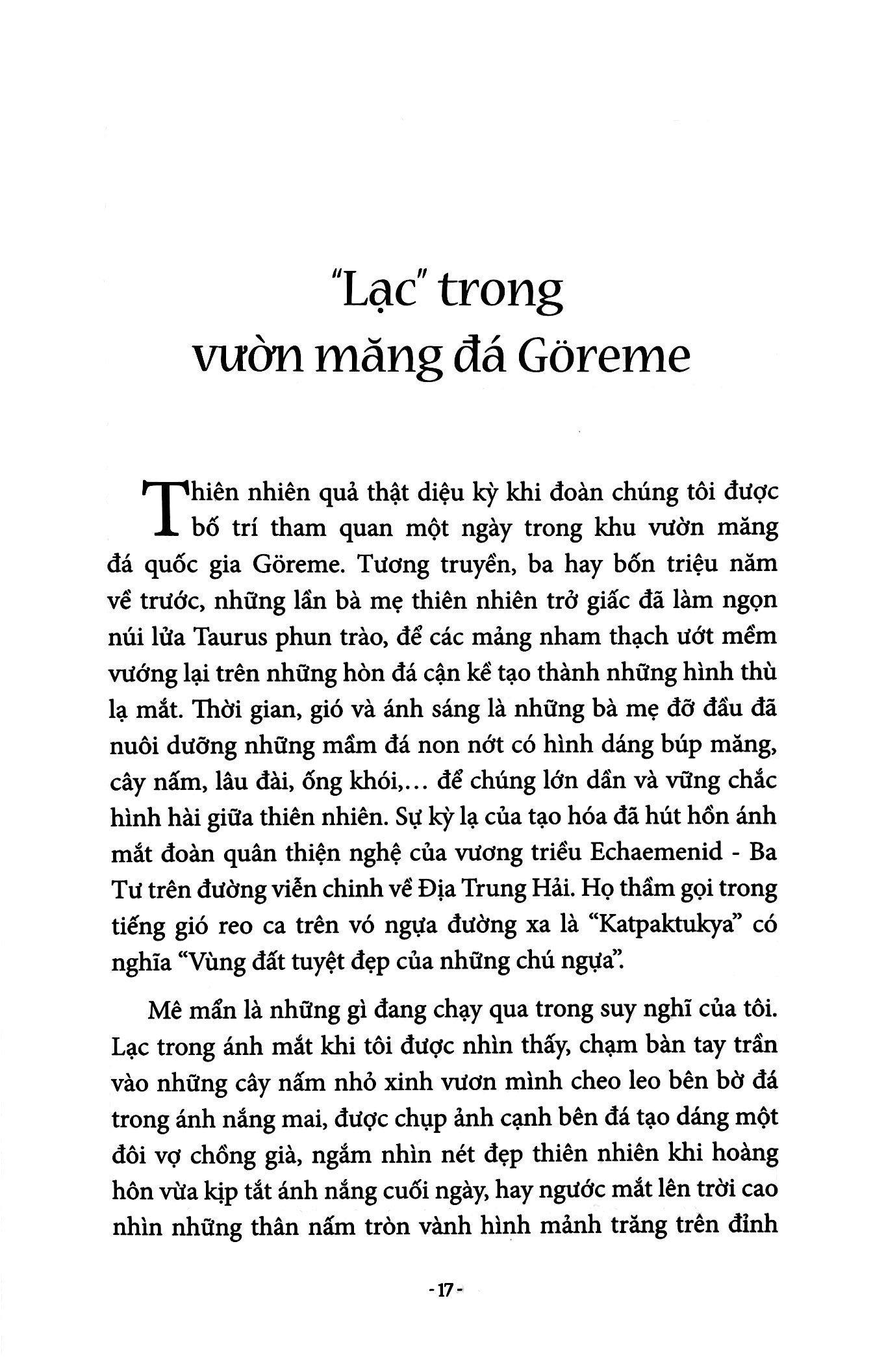 giọt cà phê thơm ottoman - Ảnh 19