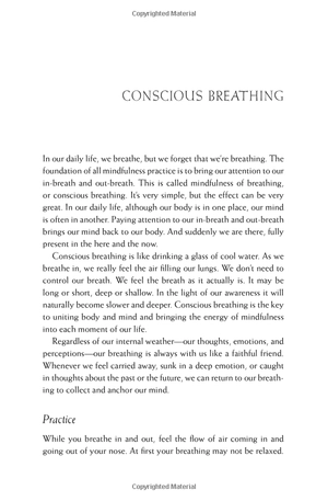 happiness - essential mindfulness practices - Ảnh 6