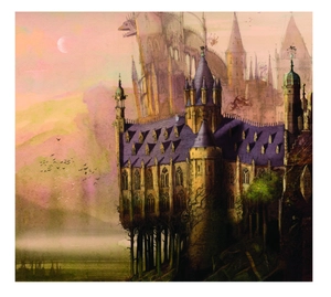 harry potter and the philosopher's stone - illustrated uk edition - Ảnh 10