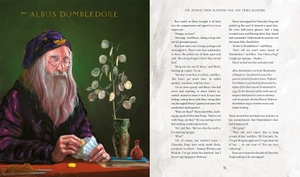 harry potter and the philosopher's stone - illustrated uk edition - Ảnh 7