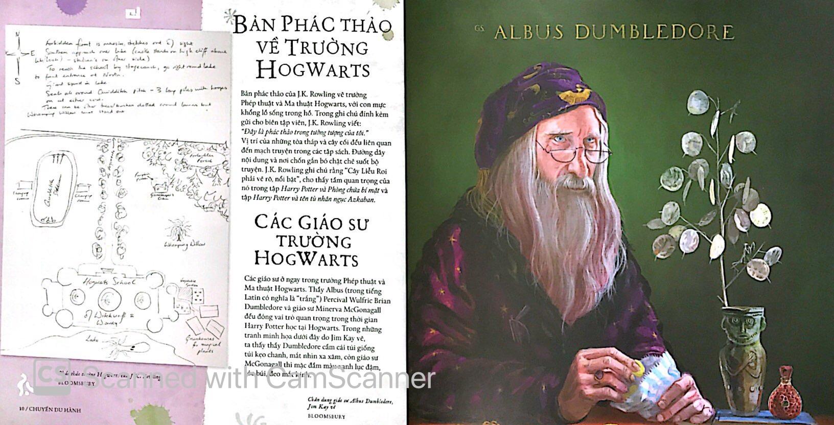 harry potter hành trình xuyên lịch sử pháp thuật - Ảnh 6